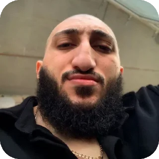 🧔 emoji Пахан Сенсея Недединса Telegram sticker 23 of 48