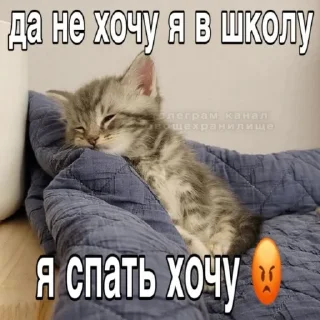 🤩 emoji котики и немного мусора Telegram sticker 3 of 72