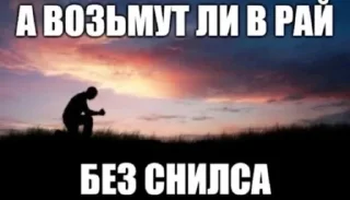 🤩 emoji котики и немного мусора Telegram sticker 18 of 72