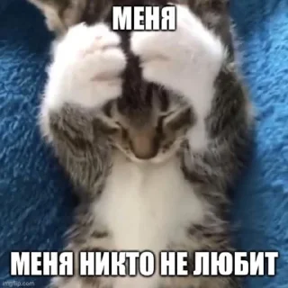 😖 emoji башкирский мёд оптом Telegram sticker 23 of 98