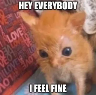 ☹️ emoji башкирский мёд оптом Telegram sticker 18 of 98