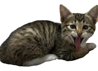 😛 emoji башкирский мёд оптом Telegram sticker 15 of 98
