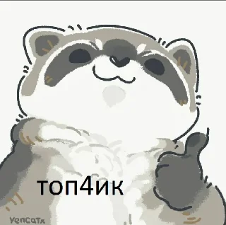 👍 emoji raccoon 🦝 @haskerdastlove Telegram sticker 9 of 105