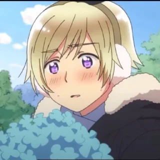 Sticker from Nordics(APH)