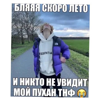🧥 emoji досик и маркетплейс кз Telegram sticker 5 of 61