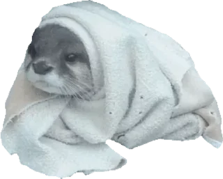 🌟 emoji ПОСЛЕДНИЙ АРГУМЕНТ Telegram sticker 9 of 105