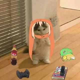 🐱 emoji Мем коты Telegram sticker 10 of 116