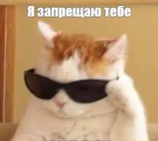 🌟 emoji ЗВЕРЮШКИ Telegram sticker 6 of 27