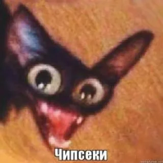 🌟 emoji ЗВЕРЮШКИ Telegram sticker 12 of 27