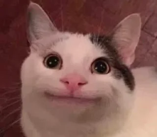🌟 emoji ЗВЕРЮШКИ Telegram sticker 10 of 27