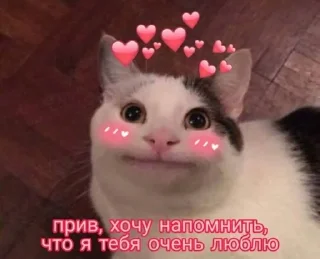🤗 emoji especially for you<3 Telegram sticker 15 of 109