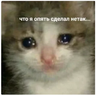 😭 emoji Стикерпак нытика с большим сердцем Telegram sticker 20 of 79
