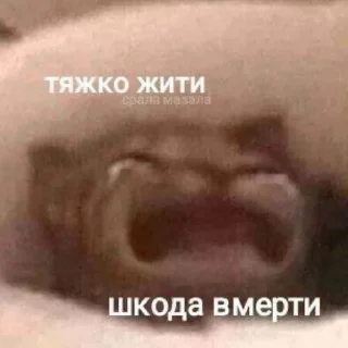 🥲 emoji @slavaukraini01 з днем незалежності Telegram sticker 9 of 43