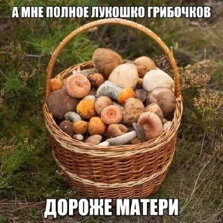🌟 emoji Картиночки с текстом 2 Telegram sticker 10 of 120