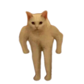 🐱 emoji Rizne : @fStikBot Telegram sticker 12 of 93