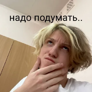 🤔 emoji ершик Telegram sticker 5 of 12