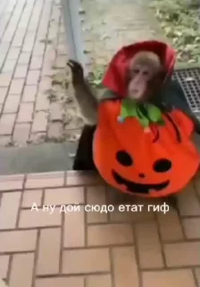 Sticker from бля иди нахуй @TgEmodziBot