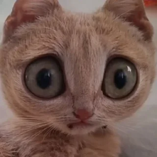 😱 emoji кіценятка Telegram sticker 20 of 45