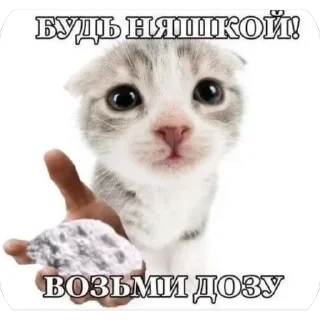 Sticker from Вау мяу