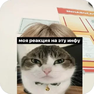 🧐 emoji эм…чел? Telegram sticker 5 of 9