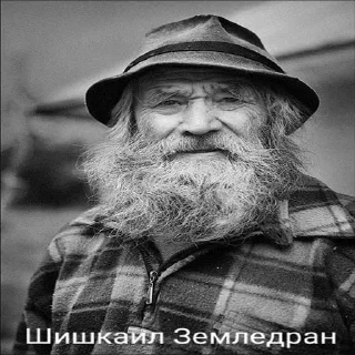 🤩 emoji Деды от @Ded_basist Telegram sticker 16 of 60
