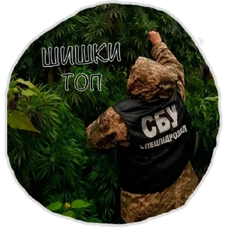 🤤 emoji Служба Безопасности Картеля Telegram sticker 4 of 15