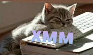 🌟 emoji Лисичка лиса 1. Telegram sticker 7 of 112