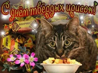 🍫 emoji ОткрытОчки на всё случаи жизни Telegram sticker 5 of 107