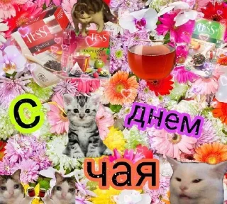 🫖 emoji ОткрытОчки на всё случаи жизни Telegram sticker 12 of 107
