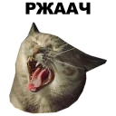 😜 emoji Котики [eeZee] Telegram sticker 12 of 48