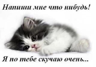 🌟 emoji С днём дня Telegram sticker 8 of 51