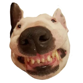 😁 emoji Doggo Telegram sticker 22 of 32