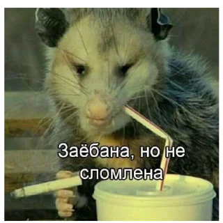 😔 emoji слишком жиза для жизы Telegram sticker 8 of 70