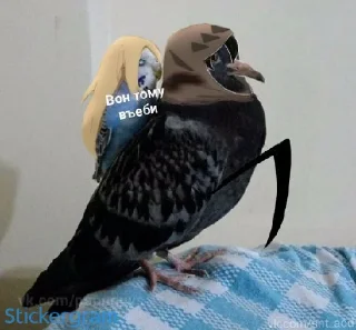 😡 emoji Какой же ты ущерб мать моя попугай Telegram sticker 13 of 52