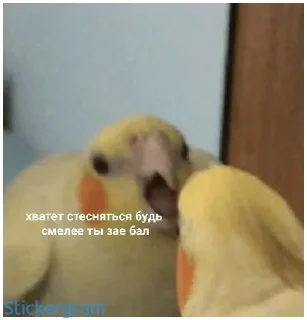 😑 emoji Какой же ты ущерб мать моя попугай Telegram sticker 17 of 52