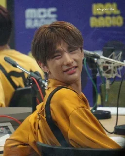 🥵 emoji Stray Kids Telegram sticker 5 of 30