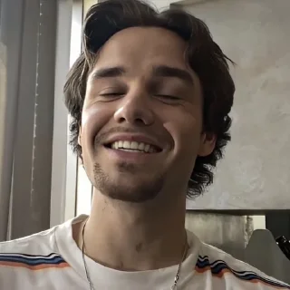 🥰 emoji yes liam no payne Telegram sticker 15 of 41