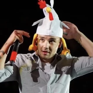 🐔 emoji yes liam no payne Telegram sticker 18 of 41