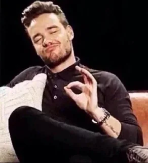 👌 emoji yes liam no payne Telegram sticker 9 of 41