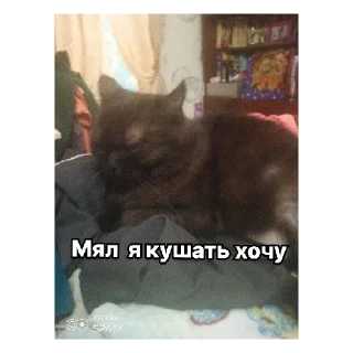 🍽 emoji Артём Telegram sticker 9 of 19
