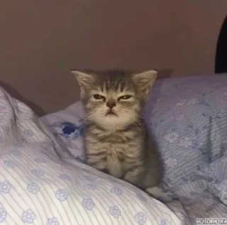 😡 emoji closticks9! @clothing_insider Telegram sticker 22 of 30