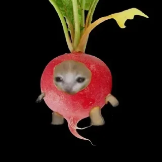 🌟 emoji я хочу есть и тебя Telegram sticker 6 of 85