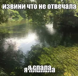 😭 emoji жесть котеночек Telegram sticker 17 of 25