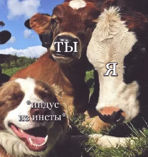 😏 emoji 👽фрэндсы приколды👽 Telegram sticker 19 of 53