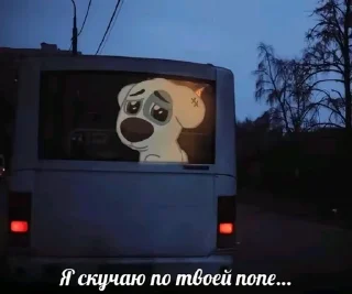 🌟 emoji Бодя пупсик Telegram sticker 5 of 63