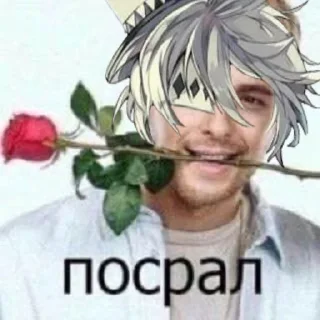 🌹 emoji бсд убивает Telegram sticker 11 of 34