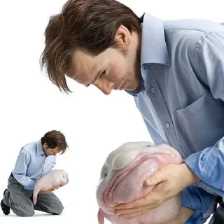 😭 emoji @dmblln автор помойки Мне похуй я панк Telegram sticker 9 of 62