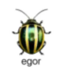 🌟 emoji Сборная Солянка От TGP Telegram sticker 23 of 110