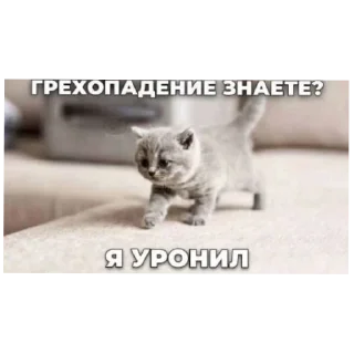 😇 emoji пакмя Telegram sticker 21 of 44
