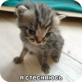 🫢 emoji пакмя Telegram sticker 22 of 44